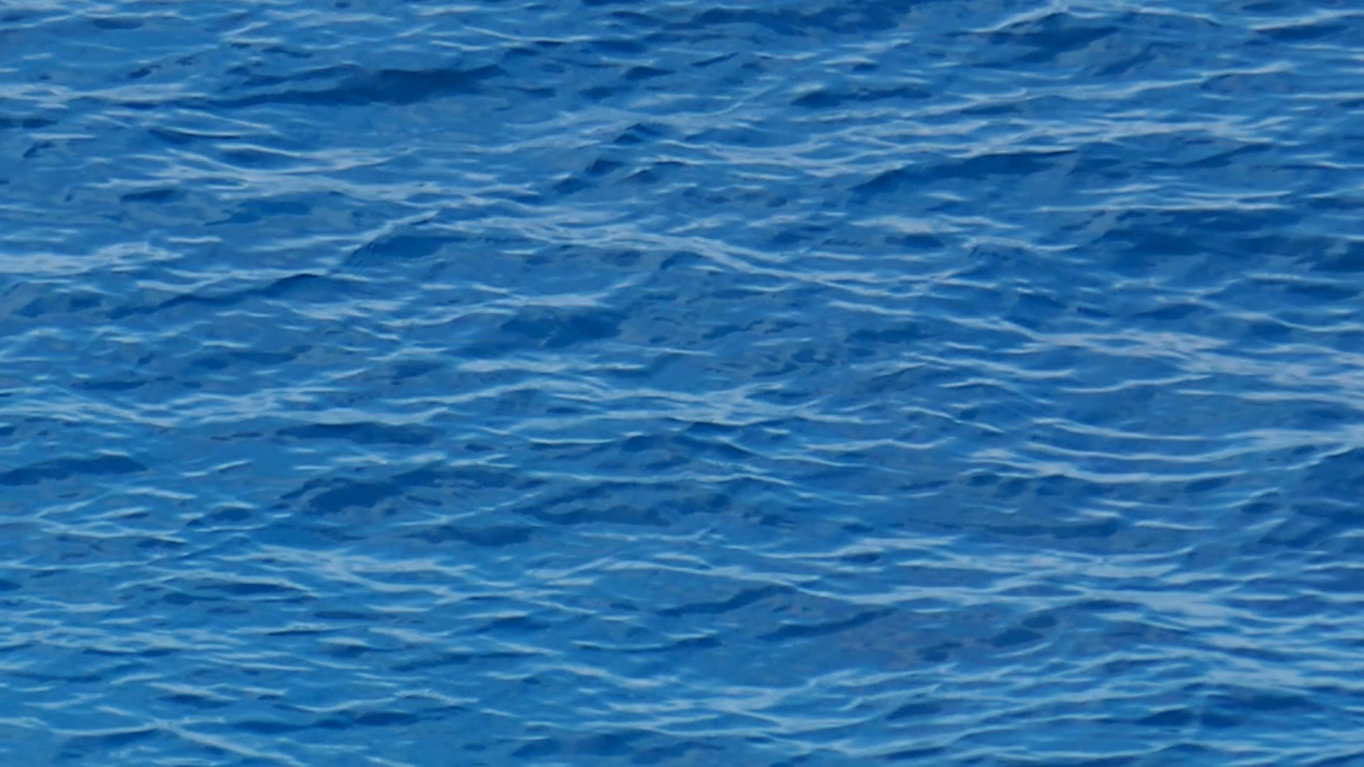 2022-11-09 07 Uhr 36 das Meer (Video, Foto)